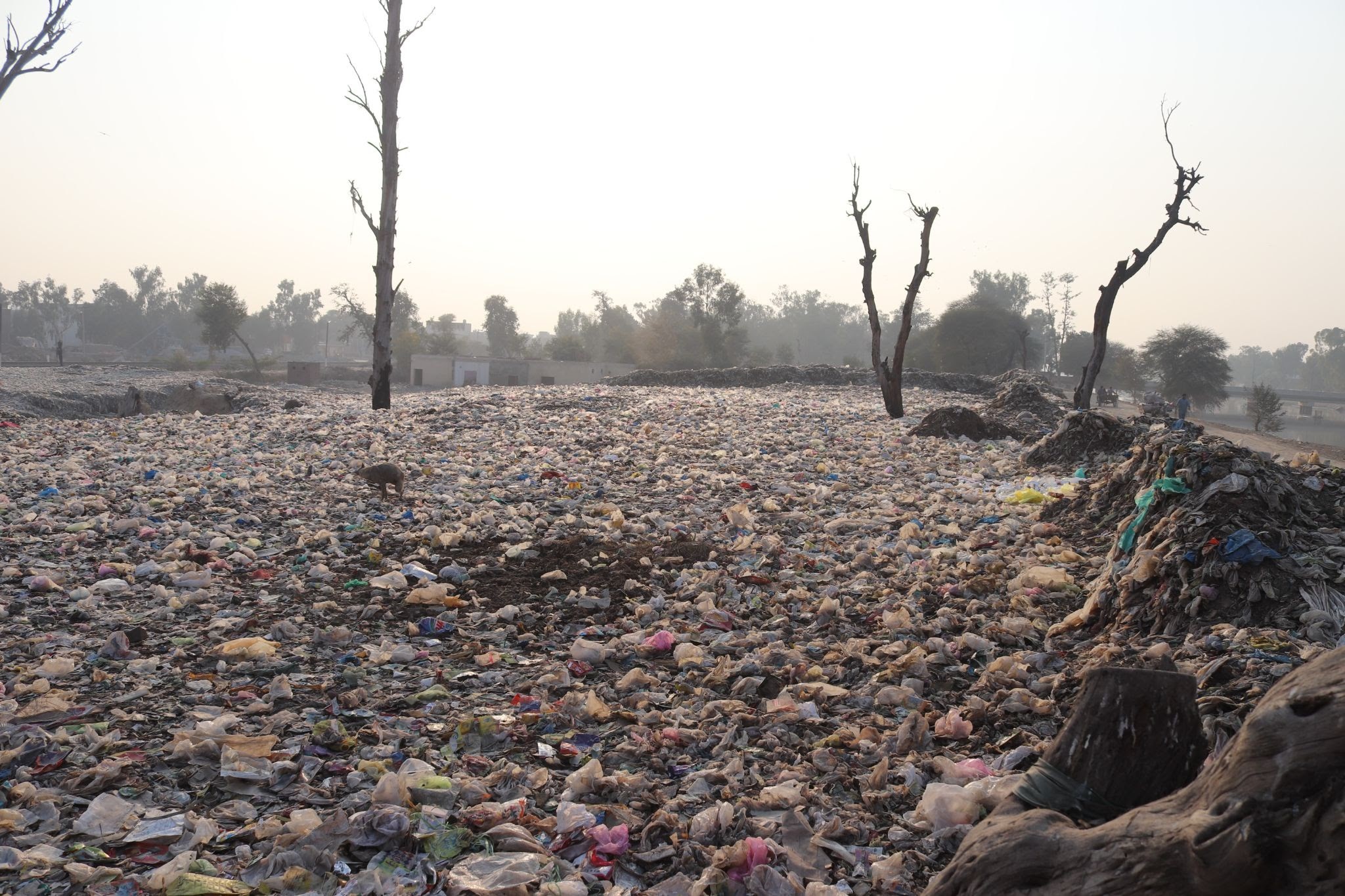 Landfills Are a Great Alternative When Other Junk Removal Methods Cannot Work