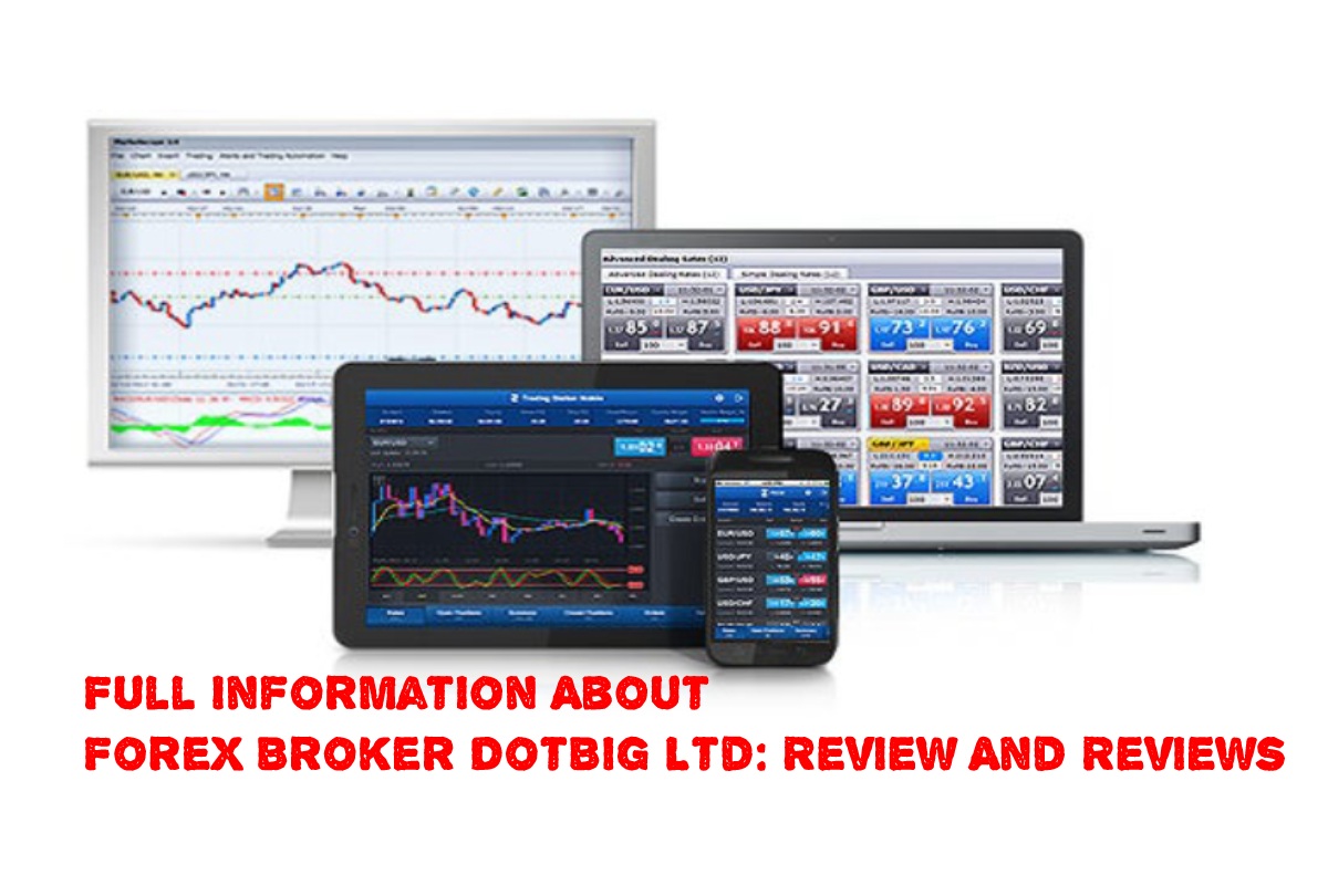 Full Information About Forex Broker DotBig Ltd: Review And Reviews