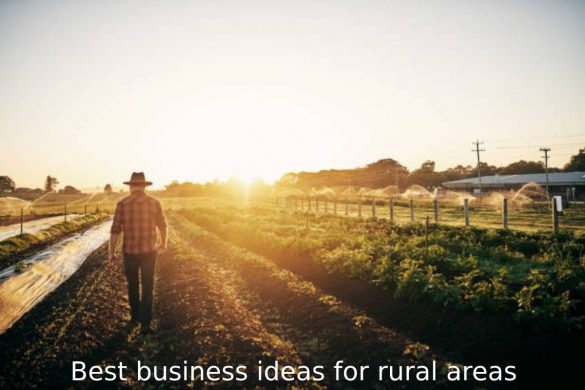 Best business ideas for rural areas