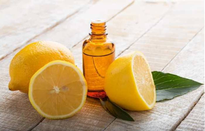 May promote wound healing