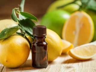 Wellhealthorganic.com_health benefits of lemon oil