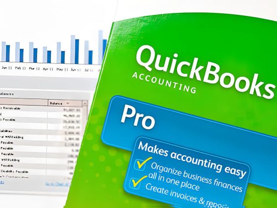 Maximizing Efficiency: Essential QuickBooks Support Tips for Small Businesses