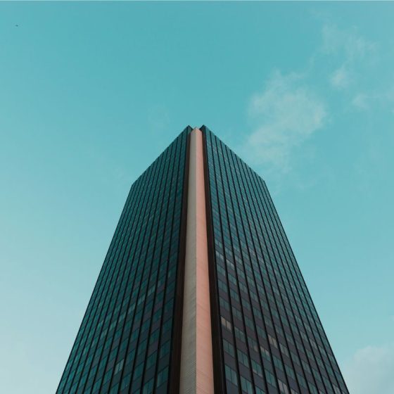 Online Synergy: Building Customer Trust in B2B