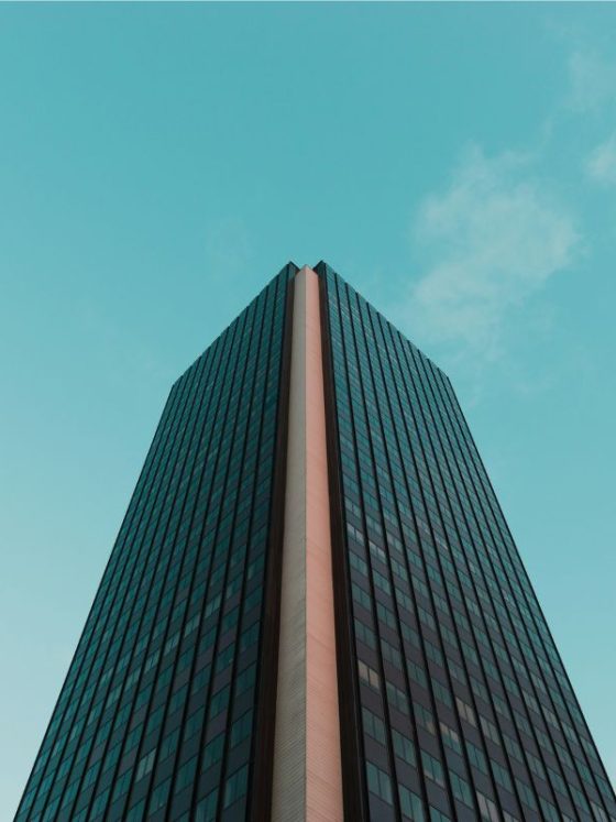 Online Synergy: Building Customer Trust in B2B