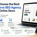 Ecommerce Seo