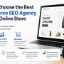 Ecommerce Seo